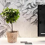 Апартаменты Embaixador Apartments&suites *