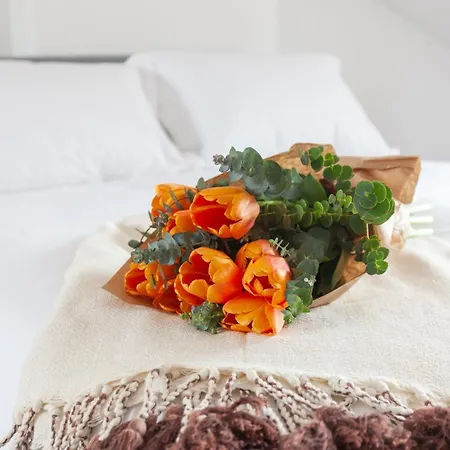 Embaixador Apartments&suites דירה *